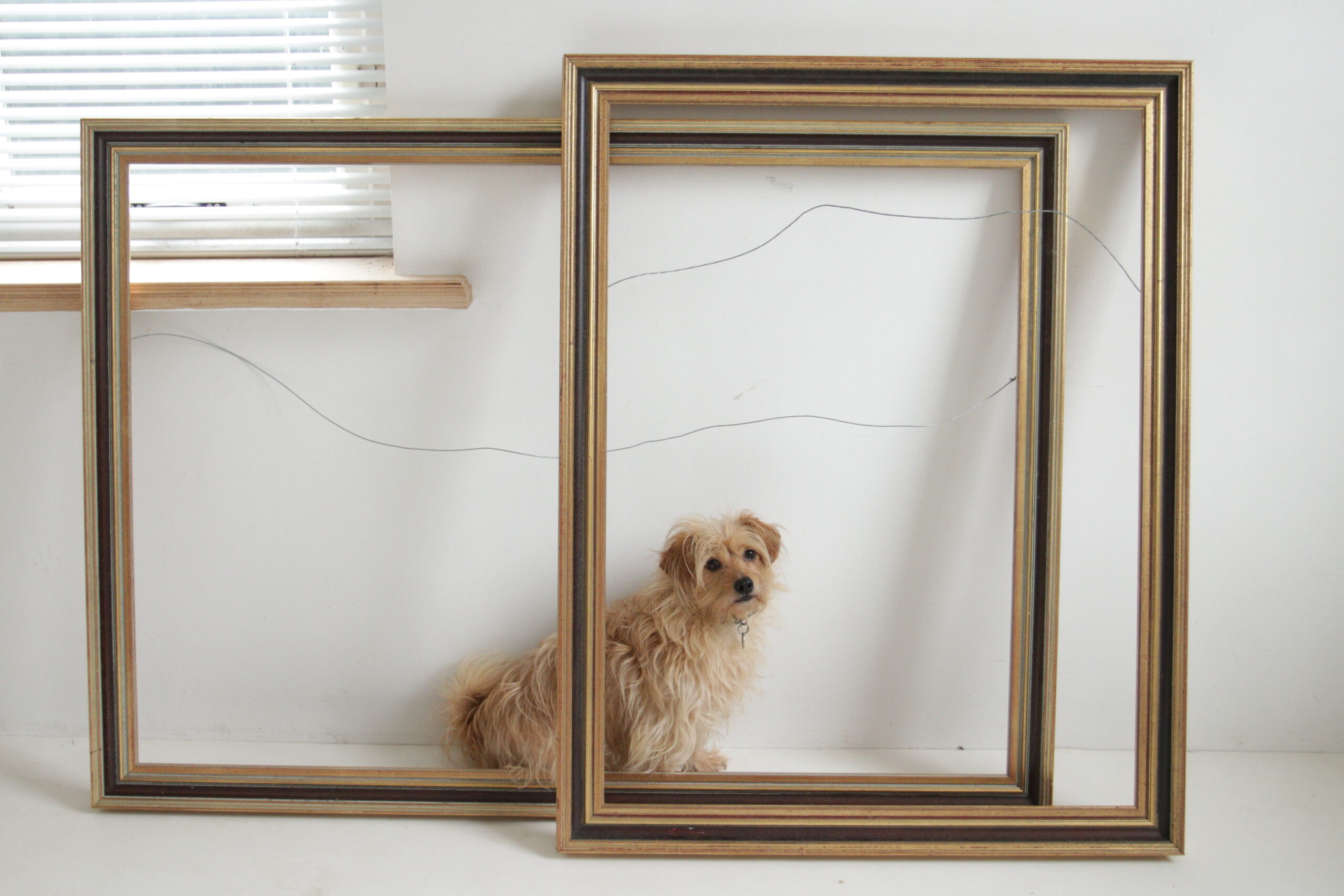 oude schilderijlijsten